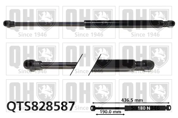Gasfeder, Koffer-/Laderaum QUINTON HAZELL QTS828587