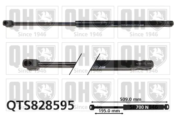 Gasfeder, Koffer-/Laderaum QUINTON HAZELL QTS828595