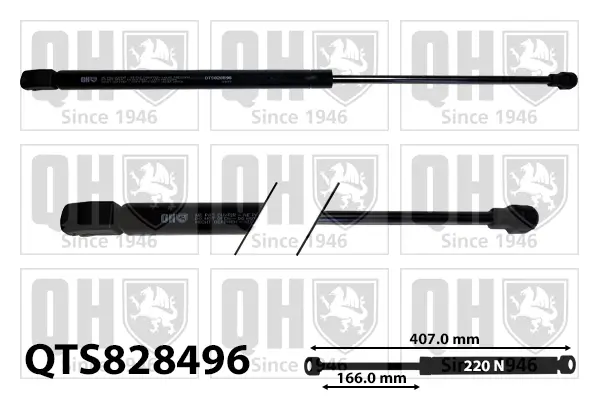 Gasfeder, Koffer-/Laderaum beidseitig QUINTON HAZELL QTS828596