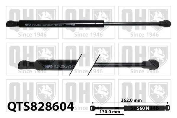 Gasfeder, Motorhaube QUINTON HAZELL QTS828604