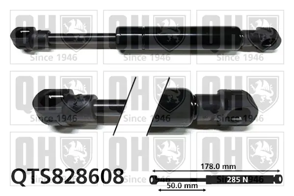 Gasfeder, Koffer-/Laderaum QUINTON HAZELL QTS828608