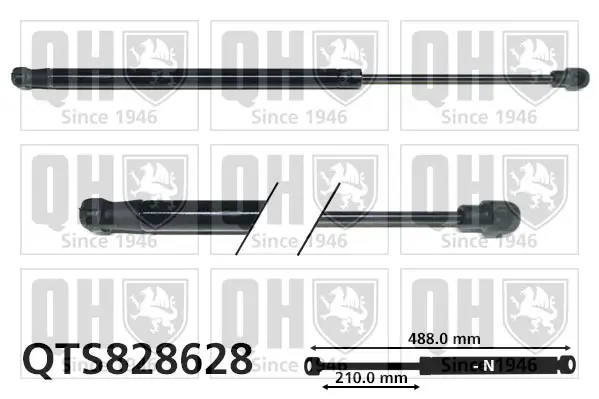 Gasfeder, Koffer-/Laderaum QUINTON HAZELL QTS828628