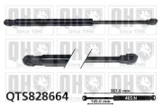 Gasfeder, Koffer-/Laderaum QUINTON HAZELL QTS828664