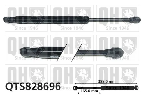 Gasfeder, Koffer-/Laderaum QUINTON HAZELL QTS828696