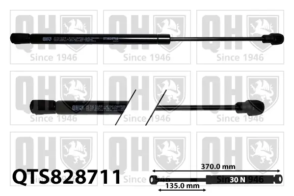 Gasfeder, Koffer-/Laderaum QUINTON HAZELL QTS828711