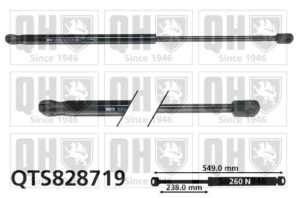 Gasfeder, Koffer-/Laderaum QUINTON HAZELL QTS828719