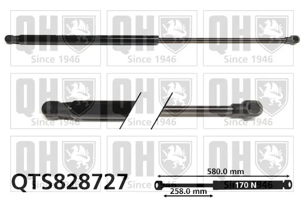 Gasfeder, Motorhaube QUINTON HAZELL QTS828727