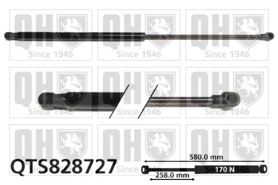 Gasfeder, Motorhaube QUINTON HAZELL QTS828727 Bild Gasfeder, Motorhaube QUINTON HAZELL QTS828727