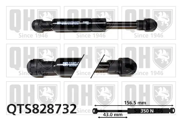 Gasfeder, Koffer-/Laderaum QUINTON HAZELL QTS828732