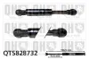 Gasfeder, Koffer-/Laderaum QUINTON HAZELL QTS828732