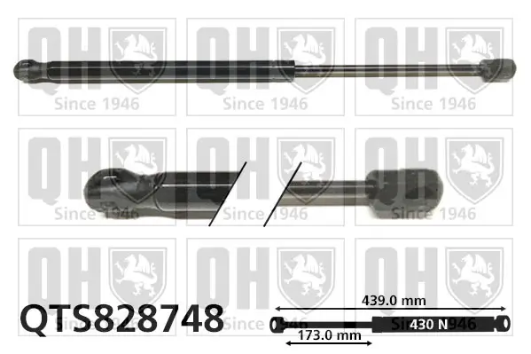 Gasfeder, Motorhaube QUINTON HAZELL QTS828748