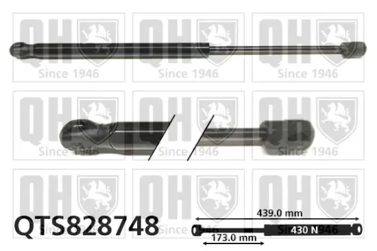 Gasfeder, Motorhaube QUINTON HAZELL QTS828748 Bild Gasfeder, Motorhaube QUINTON HAZELL QTS828748