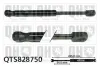 Gasfeder, Koffer-/Laderaum QUINTON HAZELL QTS828750