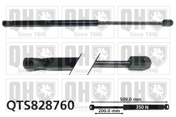 Gasfeder, Koffer-/Laderaum QUINTON HAZELL QTS828760