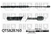 Gasfeder, Koffer-/Laderaum QUINTON HAZELL QTS828760