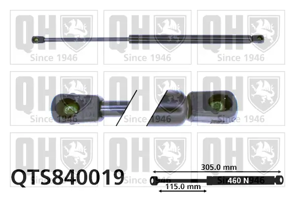 Gasfeder, Koffer-/Laderaum QUINTON HAZELL QTS840019