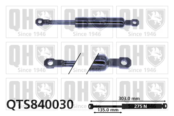 Gasfeder, Koffer-/Laderaum QUINTON HAZELL QTS840030