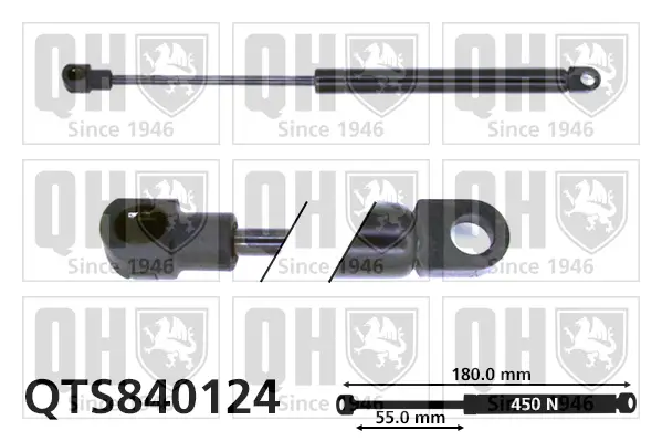 Gasfeder, Koffer-/Laderaum QUINTON HAZELL QTS840124