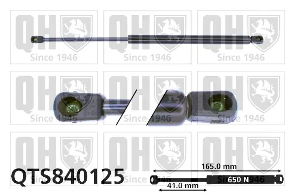 Gasfeder, Koffer-/Laderaum QUINTON HAZELL QTS840125