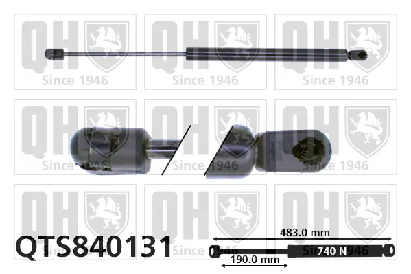 Gasfeder, Koffer-/Laderaum QUINTON HAZELL QTS840131