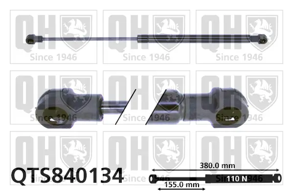 Gasfeder, Koffer-/Laderaum QUINTON HAZELL QTS840134