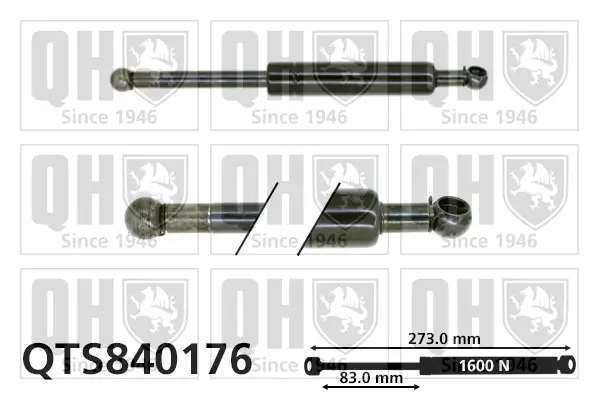Gasfeder, Koffer-/Laderaum QUINTON HAZELL QTS840176