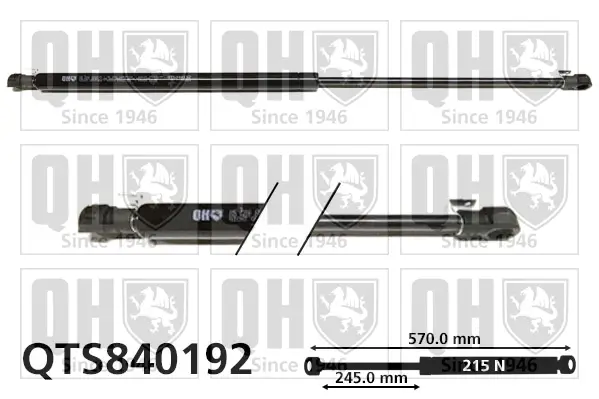 Gasfeder, Koffer-/Laderaum hinten rechts QUINTON HAZELL QTS840192