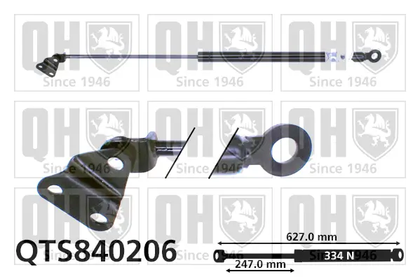Gasfeder, Koffer-/Laderaum hinten links QUINTON HAZELL QTS840206