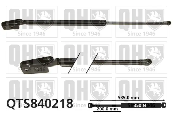 Gasfeder, Koffer-/Laderaum hinten links QUINTON HAZELL QTS840218