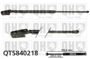 Gasfeder, Koffer-/Laderaum hinten links QUINTON HAZELL QTS840218