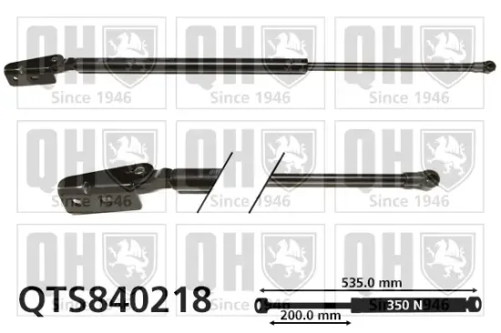 Gasfeder, Koffer-/Laderaum hinten links QUINTON HAZELL QTS840218 Bild Gasfeder, Koffer-/Laderaum hinten links QUINTON HAZELL QTS840218
