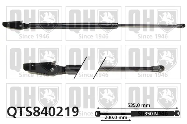 Gasfeder, Koffer-/Laderaum hinten rechts QUINTON HAZELL QTS840219