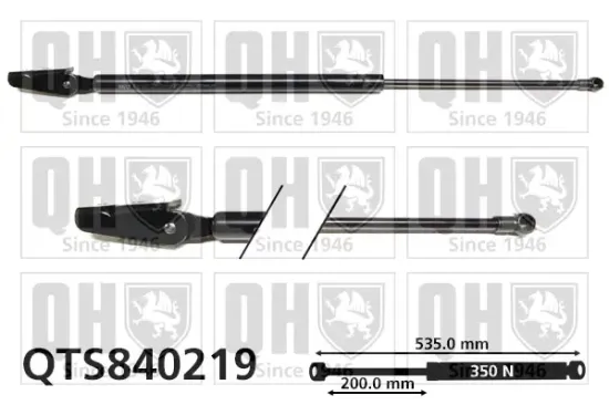 Gasfeder, Koffer-/Laderaum hinten rechts QUINTON HAZELL QTS840219 Bild Gasfeder, Koffer-/Laderaum hinten rechts QUINTON HAZELL QTS840219