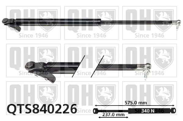 Gasfeder, Koffer-/Laderaum hinten links QUINTON HAZELL QTS840226