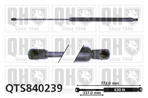 Gasfeder, Koffer-/Laderaum QUINTON HAZELL QTS840239