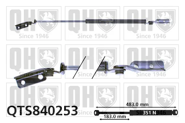 Gasfeder, Koffer-/Laderaum QUINTON HAZELL QTS840253
