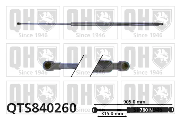 Gasfeder, Koffer-/Laderaum beidseitig QUINTON HAZELL QTS840260