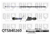 Gasfeder, Koffer-/Laderaum beidseitig QUINTON HAZELL QTS840260