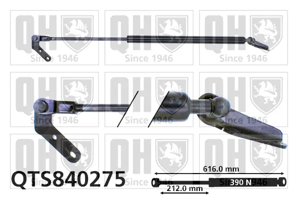 Gasfeder, Koffer-/Laderaum hinten links QUINTON HAZELL QTS840275