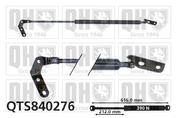 Gasfeder, Koffer-/Laderaum hinten rechts QUINTON HAZELL QTS840276