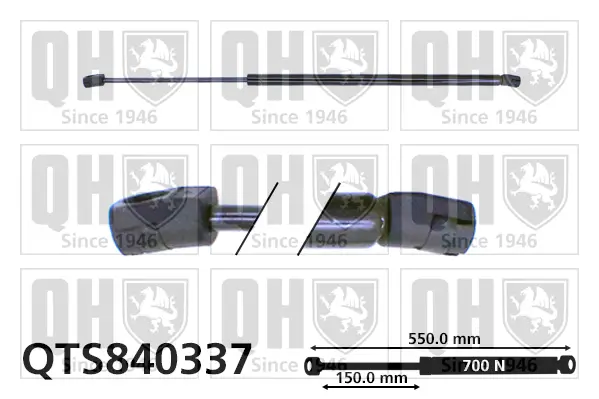 Gasfeder, Koffer-/Laderaum QUINTON HAZELL QTS840337