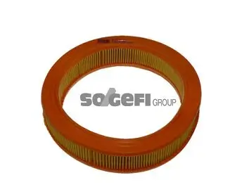 Luftfilter FRAM CA2729