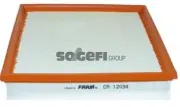 Luftfilter FRAM CA12034