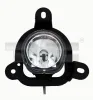 Nebelscheinwerfer rechts TYC 19-0769-05-2