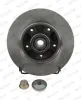 Bremsscheibe Hinterachse FERODO DDF1730-1 Bild Bremsscheibe Hinterachse FERODO DDF1730-1