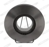 Bremsscheibe FERODO FCR187A