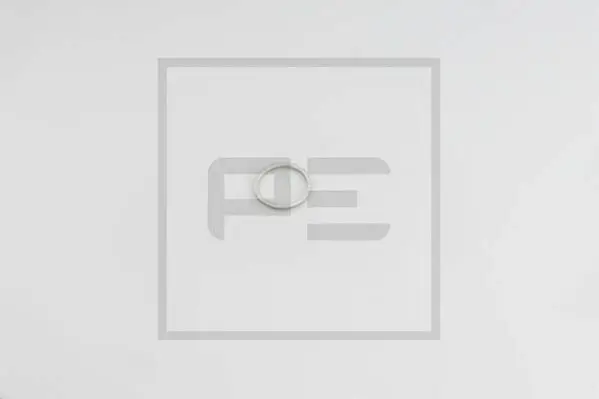 Dichtring, Ölablassschraube PE Automotive 011.057-00A