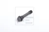 Schwungradschraube PE Automotive 030.112-00A