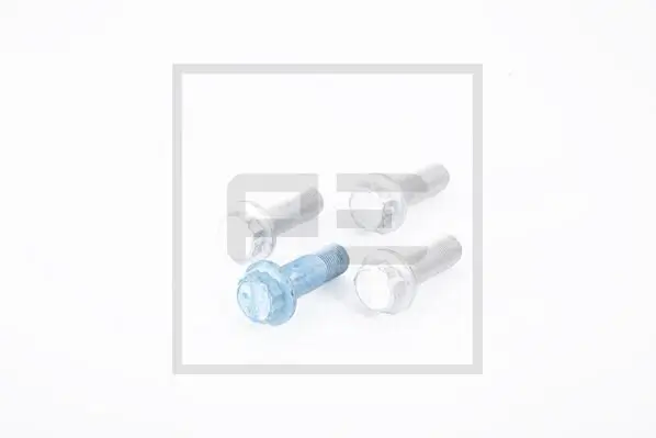 Prüfset, Bremsscheibenschlagprüfung PE Automotive 066.186-00A