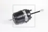 Federspeicherbremszylinder PE Automotive 076.813-20A